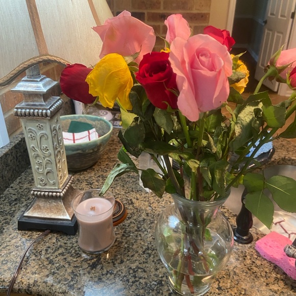 Meet your Posher, Amanda - Picture 8 of 8